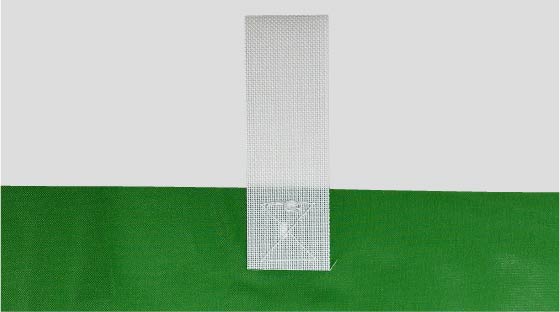 チチの詳細